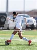 Photo from the gallery "Windsor @ Northridge"