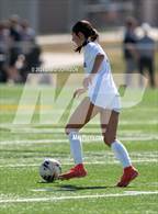 Photo from the gallery "Windsor @ Northridge"