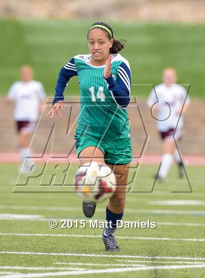 Thumbnail 2 in ThunderRidge @ Ponderosa photogallery.