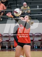 Photo from the gallery "Nemo Vista @ Perryville"