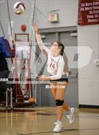 Photo from the gallery "Nemo Vista @ Perryville"