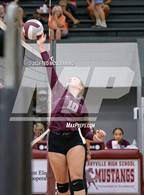Photo from the gallery "Nemo Vista @ Perryville"