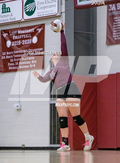 Thumbnail 1 in Nemo Vista @ Perryville photogallery.