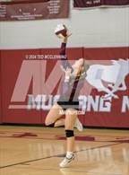 Photo from the gallery "Nemo Vista @ Perryville"
