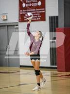 Photo from the gallery "Nemo Vista @ Perryville"