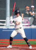 Photo from the gallery "Los Gatos @ Saratoga"