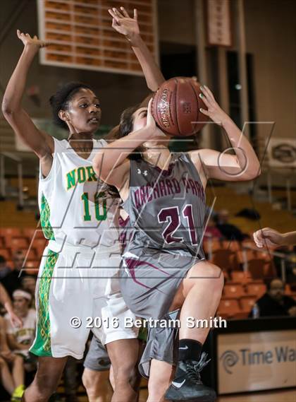 Thumbnail 2 in Williamsville North vs Orchard Park (Section 6 Class AA Final) photogallery.