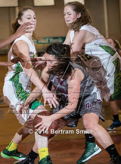 Thumbnail 1 in Williamsville North vs Orchard Park (Section 6 Class AA Final) photogallery.