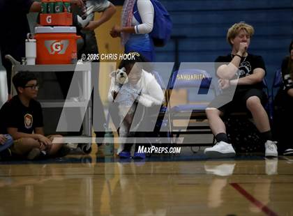 Thumbnail 3 in Willcox @ Sahuarita photogallery.