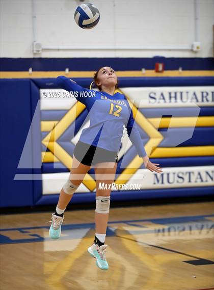 Thumbnail 2 in Willcox @ Sahuarita photogallery.