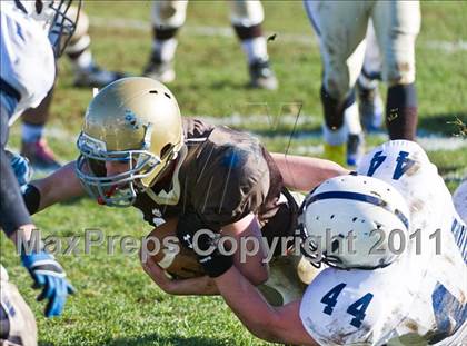 Thumbnail 1 in Westerly @ Stonington photogallery.