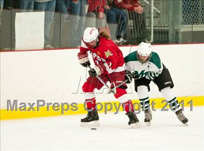 Thumbnail 2 in Coon Rapids @ Mounds View (Schwan Super Rink) photogallery.