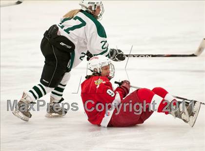 Thumbnail 3 in Coon Rapids @ Mounds View (Schwan Super Rink) photogallery.