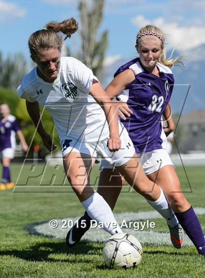 Thumbnail 3 in Riverton @ Copper Hills photogallery.