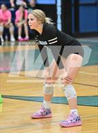 Photo from the gallery "Estrella Foothills @ Cactus"