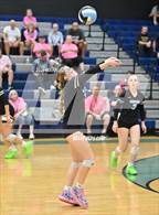 Photo from the gallery "Estrella Foothills @ Cactus"