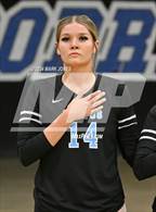 Photo from the gallery "Estrella Foothills @ Cactus"