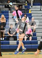 Photo from the gallery "Estrella Foothills @ Cactus"