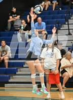Photo from the gallery "Estrella Foothills @ Cactus"
