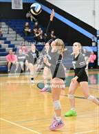 Photo from the gallery "Estrella Foothills @ Cactus"