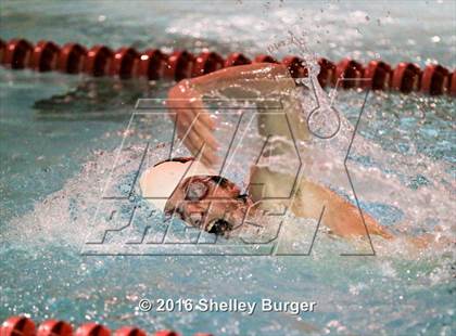 Thumbnail 2 in Greenwich @ New Canaan photogallery.