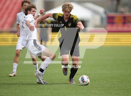 Thumbnail 2 in Wasatch vs. Alta (UHSAA 5A Final) photogallery.