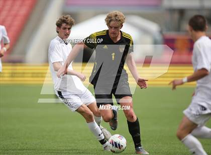 Thumbnail 2 in Wasatch vs. Alta (UHSAA 5A Final) photogallery.