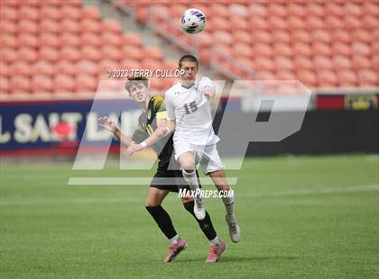 Thumbnail 3 in Wasatch vs. Alta (UHSAA 5A Final) photogallery.