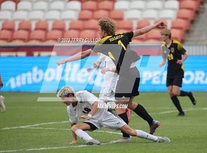 Thumbnail 1 in Wasatch vs. Alta (UHSAA 5A Final) photogallery.