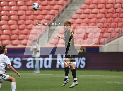 Thumbnail 3 in Wasatch vs. Alta (UHSAA 5A Final) photogallery.