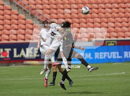 Thumbnail 3 in Wasatch vs. Alta (UHSAA 5A Final) photogallery.