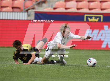Thumbnail 1 in Wasatch vs. Alta (UHSAA 5A Final) photogallery.
