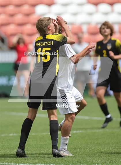 Thumbnail 2 in Wasatch vs. Alta (UHSAA 5A Final) photogallery.