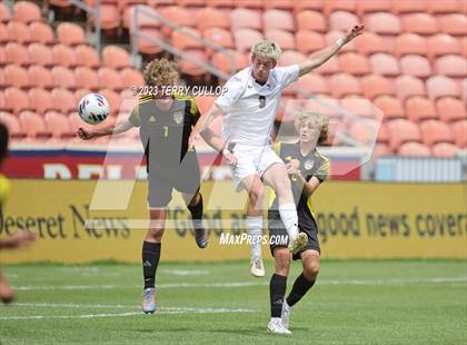 Thumbnail 3 in Wasatch vs. Alta (UHSAA 5A Final) photogallery.