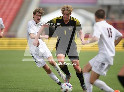 Thumbnail 3 in Wasatch vs. Alta (UHSAA 5A Final) photogallery.