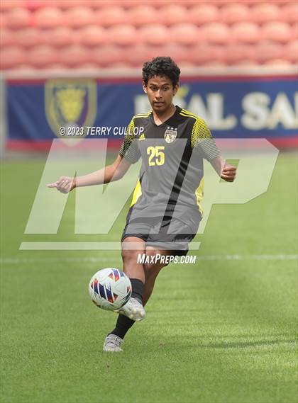 Thumbnail 2 in Wasatch vs. Alta (UHSAA 5A Final) photogallery.