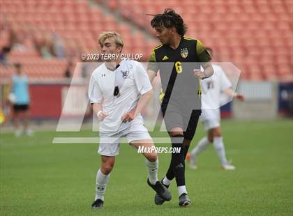 Thumbnail 3 in Wasatch vs. Alta (UHSAA 5A Final) photogallery.