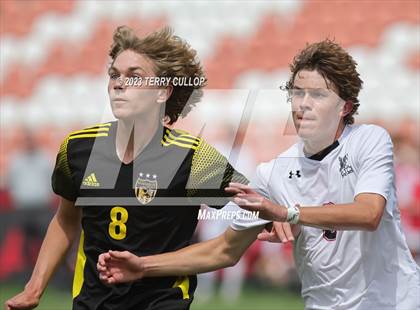 Thumbnail 1 in Wasatch vs. Alta (UHSAA 5A Final) photogallery.