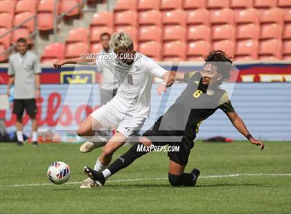 Thumbnail 1 in Wasatch vs. Alta (UHSAA 5A Final) photogallery.