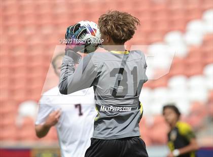 Thumbnail 3 in Wasatch vs. Alta (UHSAA 5A Final) photogallery.