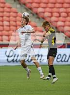 Photo from the gallery "Wasatch vs. Alta (UHSAA 5A Final)"