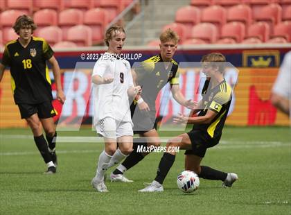 Thumbnail 1 in Wasatch vs. Alta (UHSAA 5A Final) photogallery.