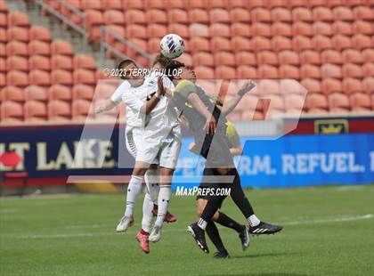 Thumbnail 1 in Wasatch vs. Alta (UHSAA 5A Final) photogallery.