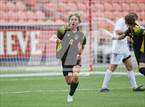 Photo from the gallery "Wasatch vs. Alta (UHSAA 5A Final)"