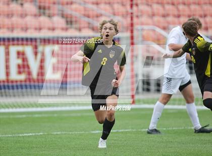 Thumbnail 3 in Wasatch vs. Alta (UHSAA 5A Final) photogallery.