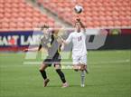 Photo from the gallery "Wasatch vs. Alta (UHSAA 5A Final)"