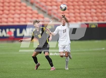 Thumbnail 2 in Wasatch vs. Alta (UHSAA 5A Final) photogallery.