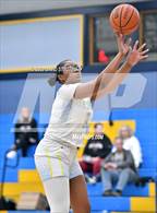 Photo from the gallery "Bear River @ Center"