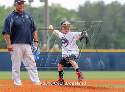 Thumbnail 1 in Pope vs. Walton (GHSA 6A Final - Game 1) photogallery.