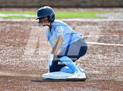 Thumbnail 3 in Hooks vs. Pine Tree (Hallsville Ladycat Classic) photogallery.
